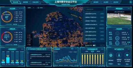 数字农业，谁拔头筹？——数字化竞逐中的上海实践