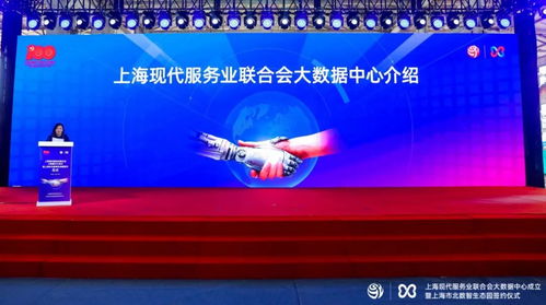 上海现代服务业联合会大数据中心成立，赋能产业创新与区域发展